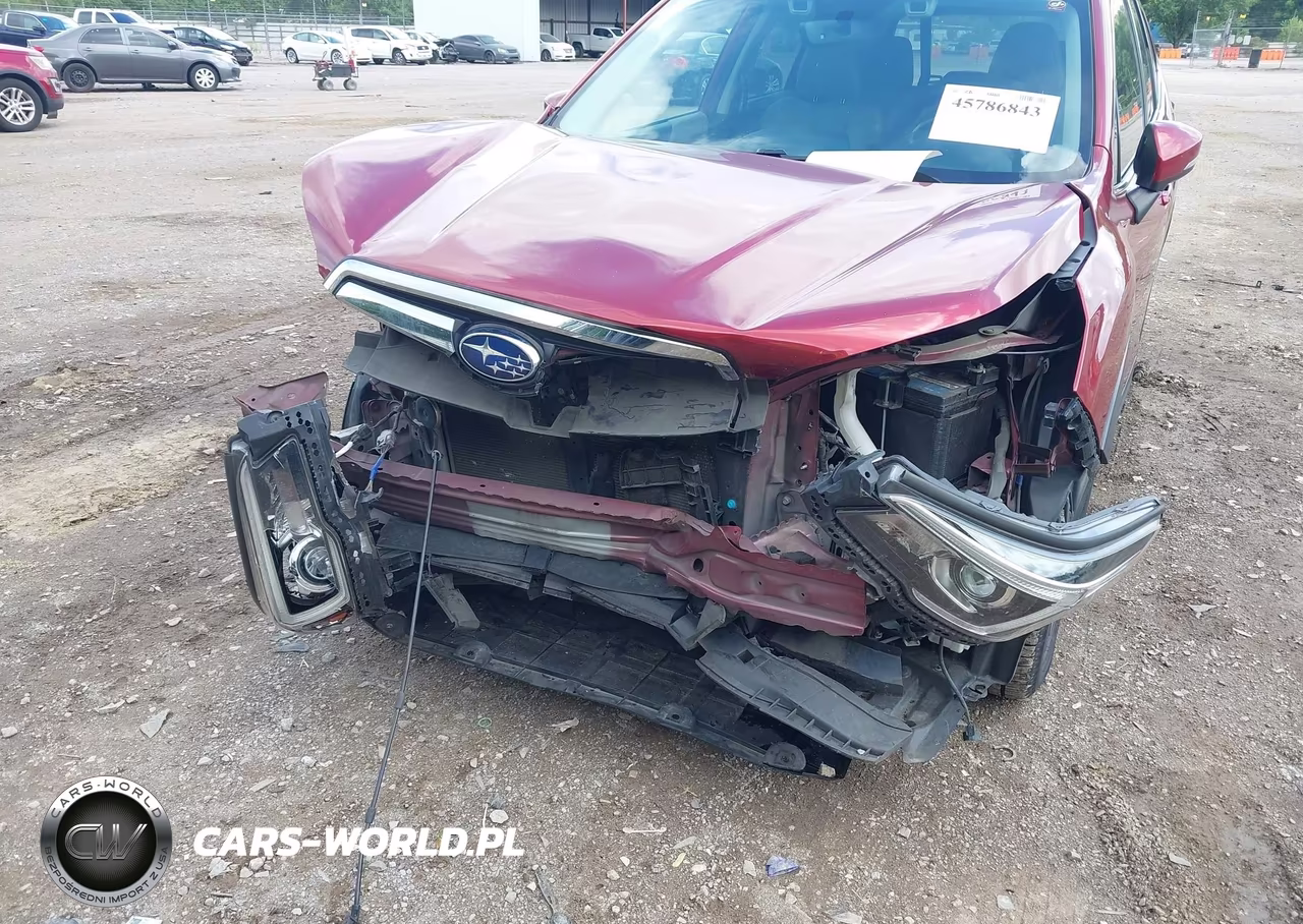 2019 Subaru Forester Limited VIN:JF2SKASC4KH516299 - 6