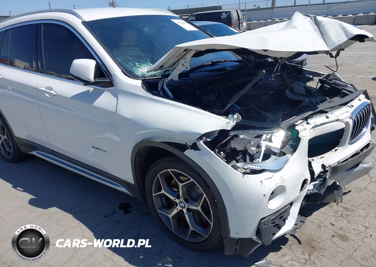 2018 BMW X1 Sdrive28I VIN:WBXHU7C3XJ5H42874 - 17