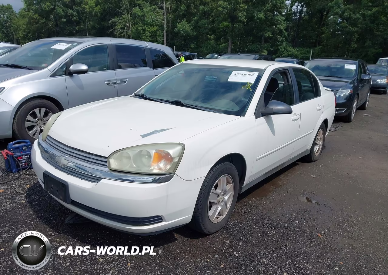 2005 Chevrolet Malibu Ls VIN:1G1ZT52855F118234 - 2