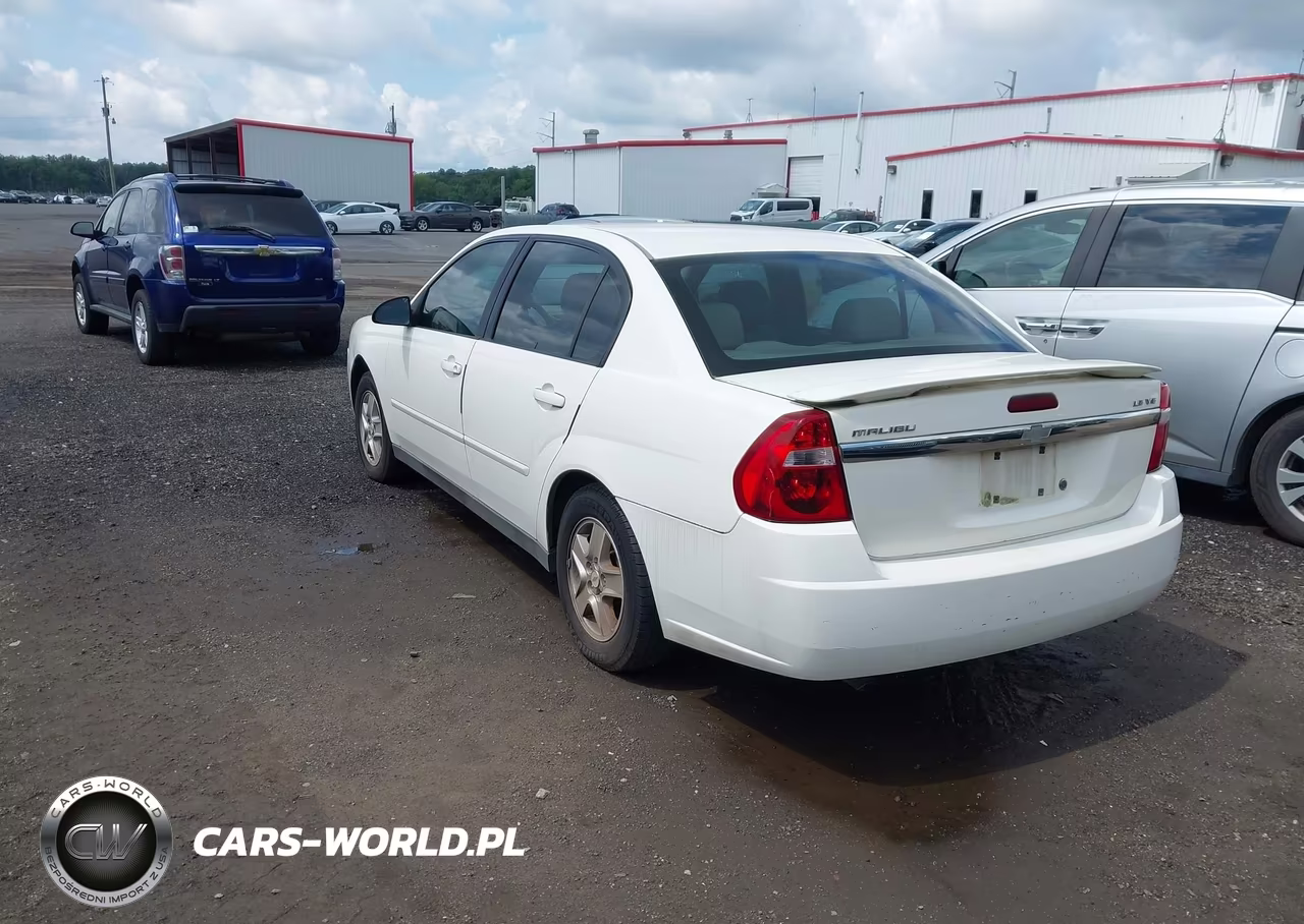 2005 Chevrolet Malibu Ls VIN:1G1ZT52855F118234 - 3