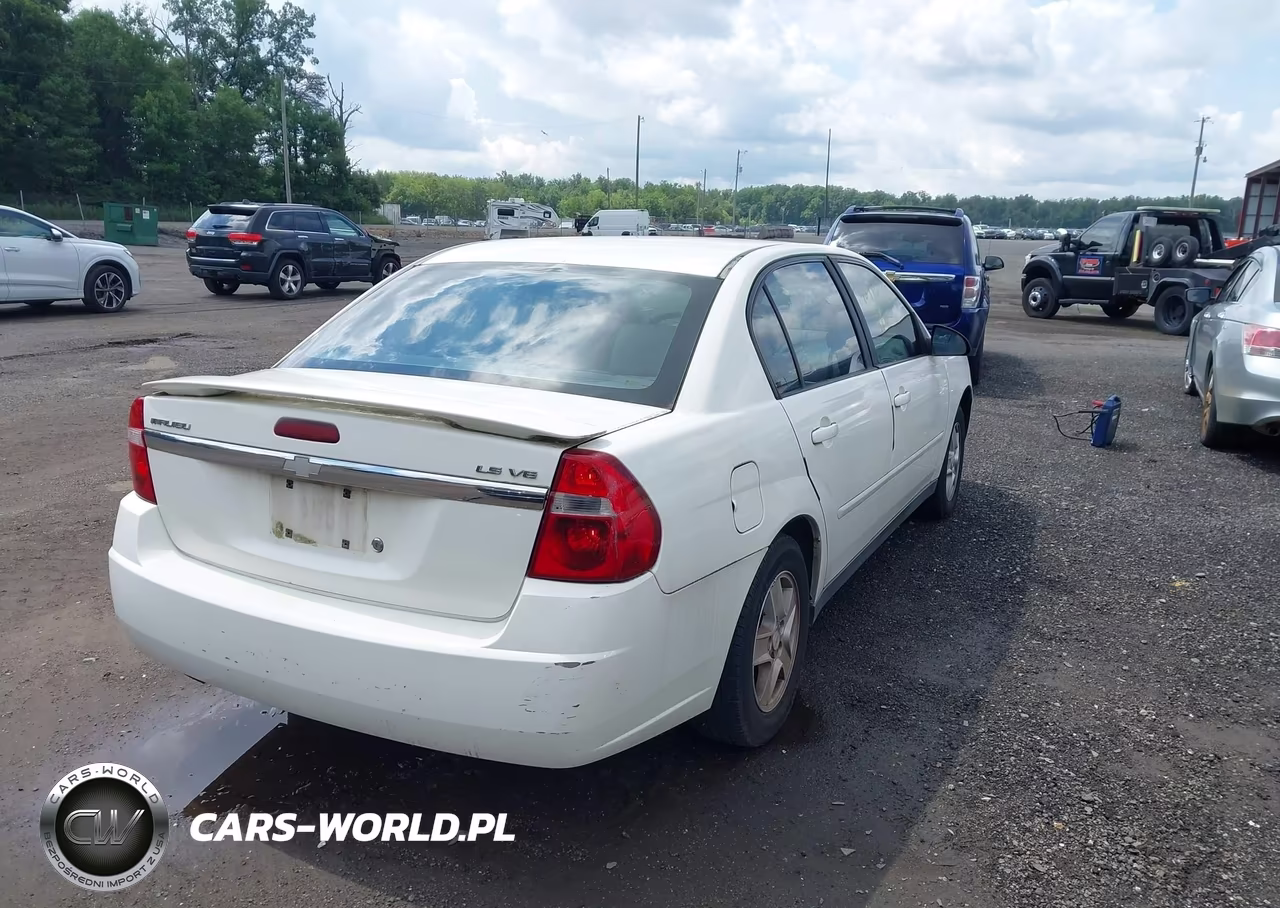 2005 Chevrolet Malibu Ls VIN:1G1ZT52855F118234 - 4