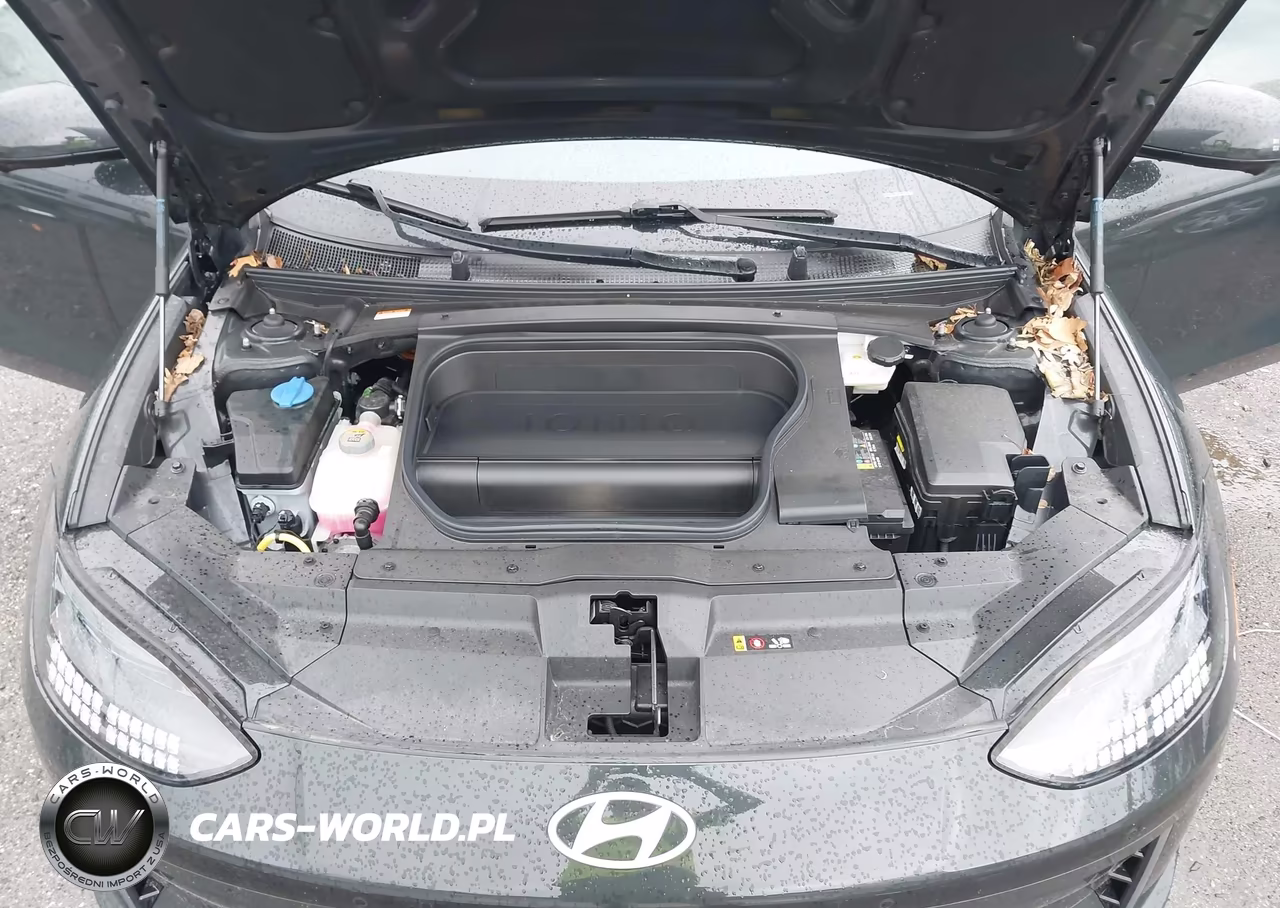 2023 Hyundai Ioniq 6 Limited VIN:KMHM54AA5PA040351 - 10