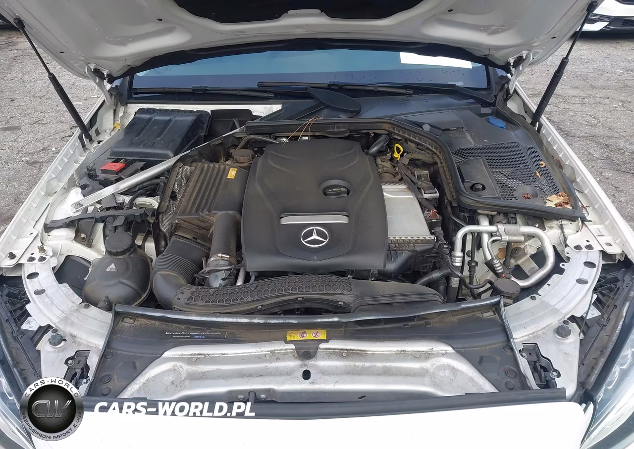 2017 Mercedes-Benz C 300 VIN:55SWF4JBXHU179255 - 10