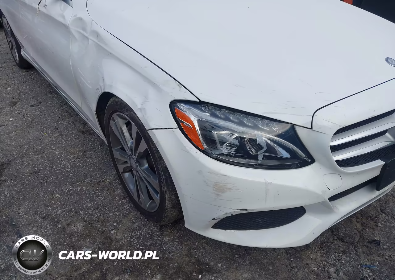 2017 Mercedes-Benz C 300 VIN:55SWF4JBXHU179255 - 19