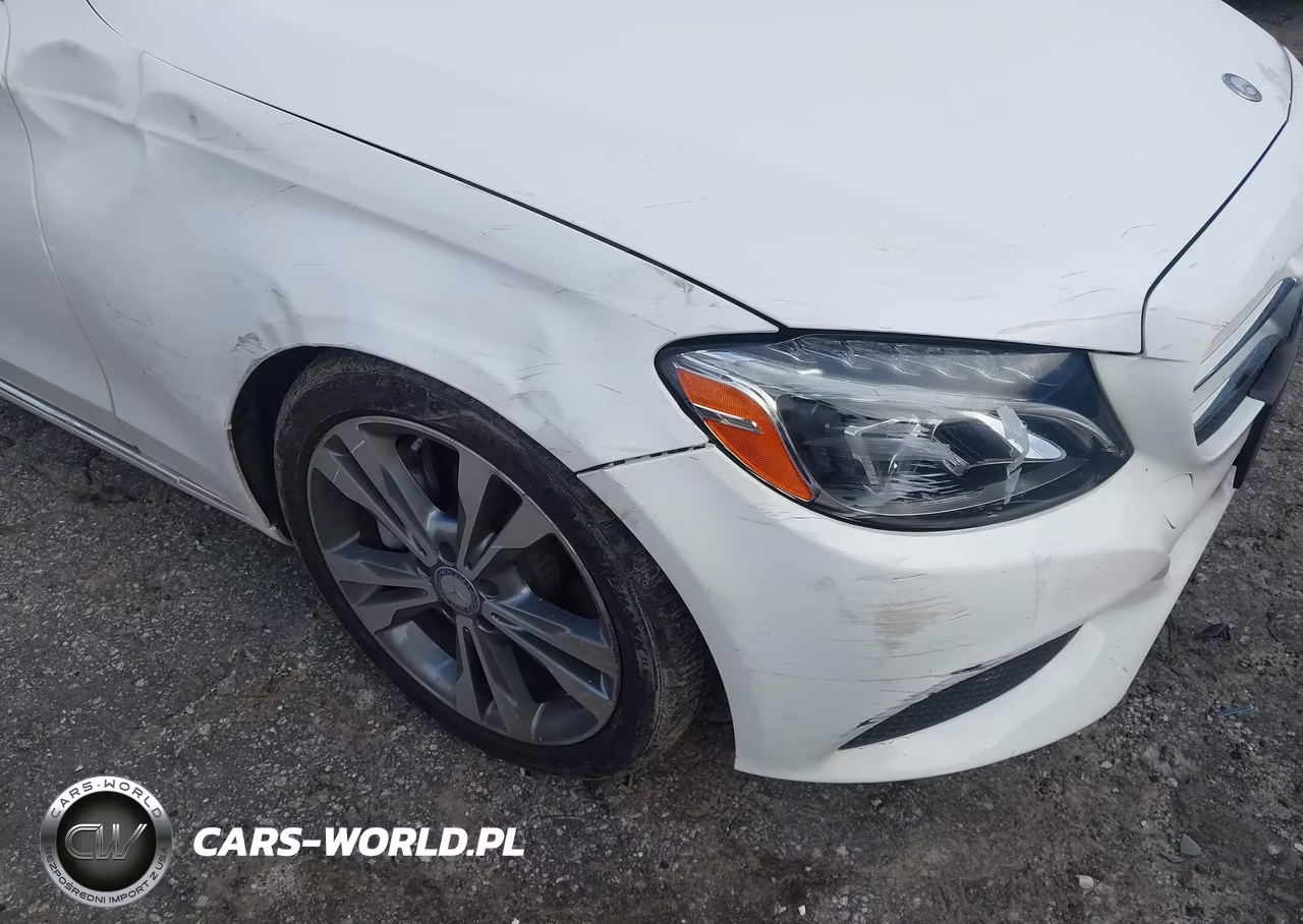 2017 Mercedes-Benz C 300 VIN:55SWF4JBXHU179255 - 21