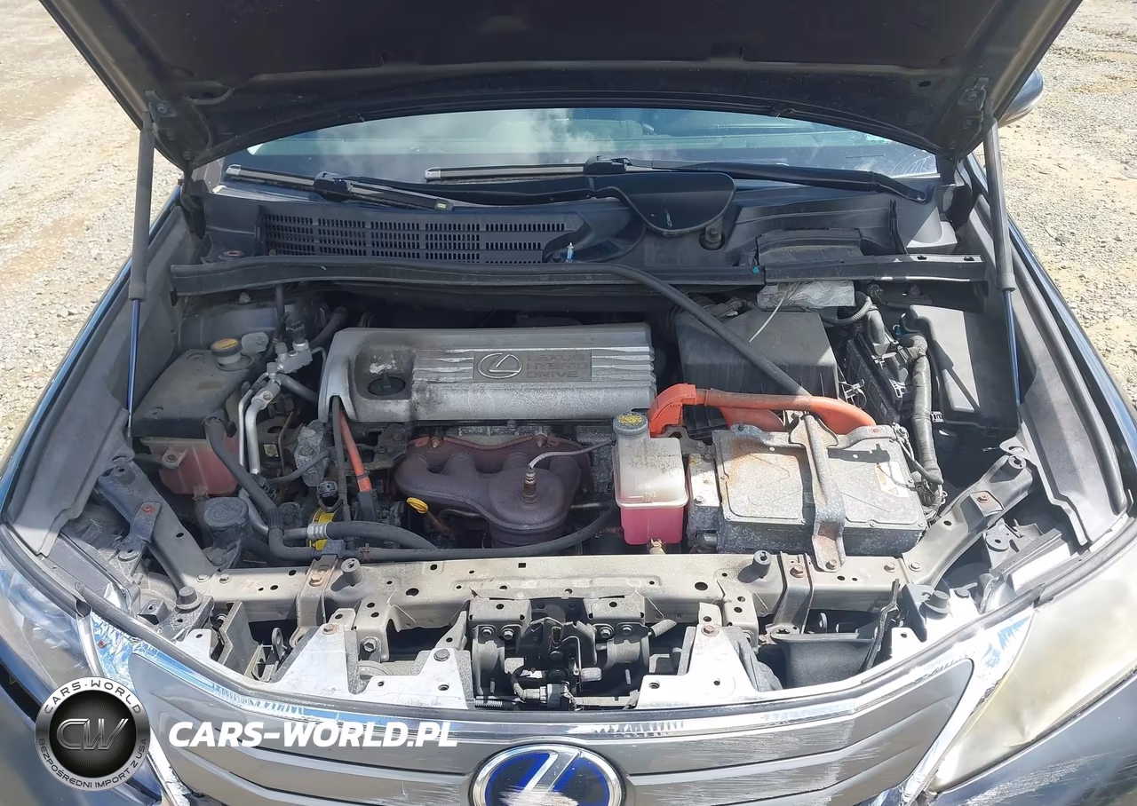 2010 Lexus Hs 250H Premium VIN:JTHBB1BA3A2034002 - 10