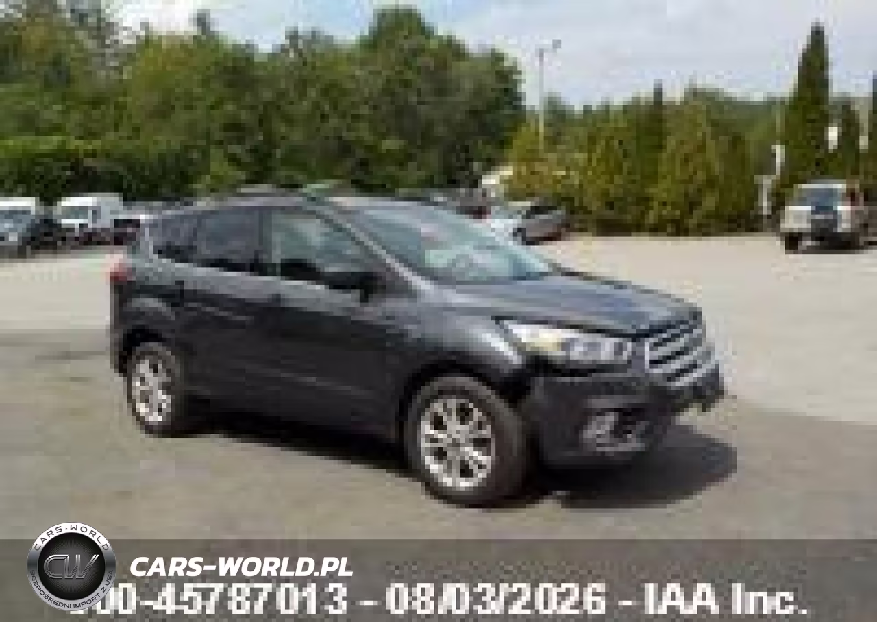2019 Ford Escape Sel