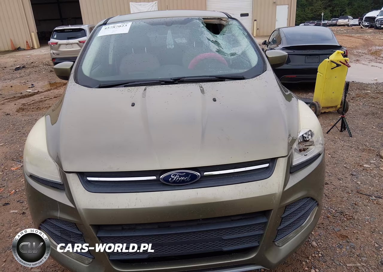 2014 Ford Escape Se VIN:1FMCU0GX8EUA34705 - 12