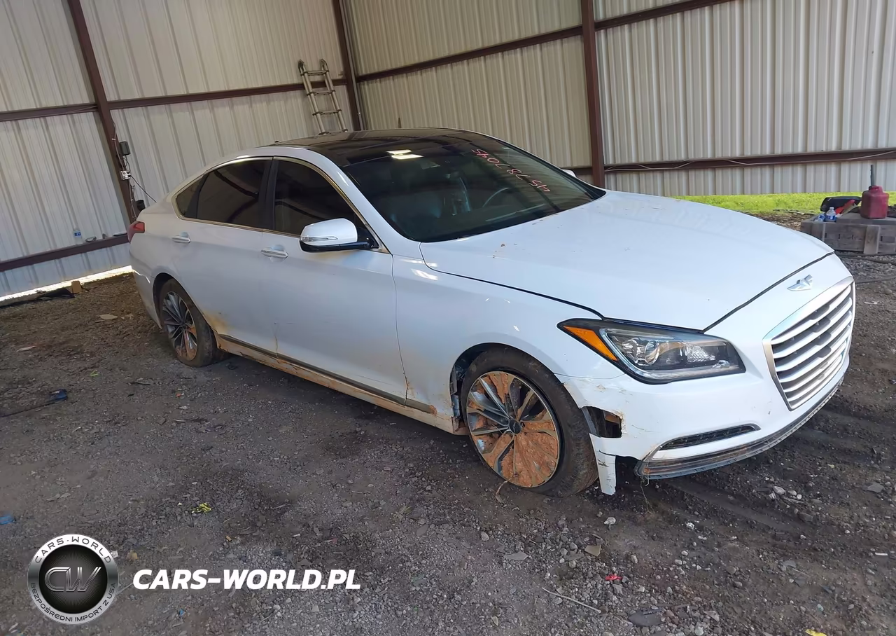 2015 Hyundai Genesis 3.8 VIN:KMHGN4JE9FU101391 - 1