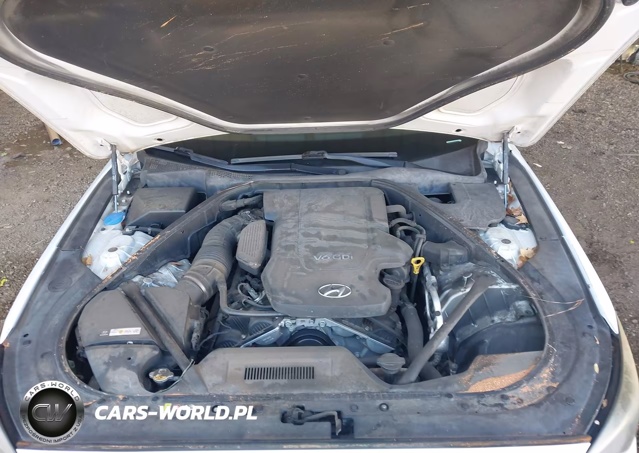 2015 Hyundai Genesis 3.8 VIN:KMHGN4JE9FU101391 - 10