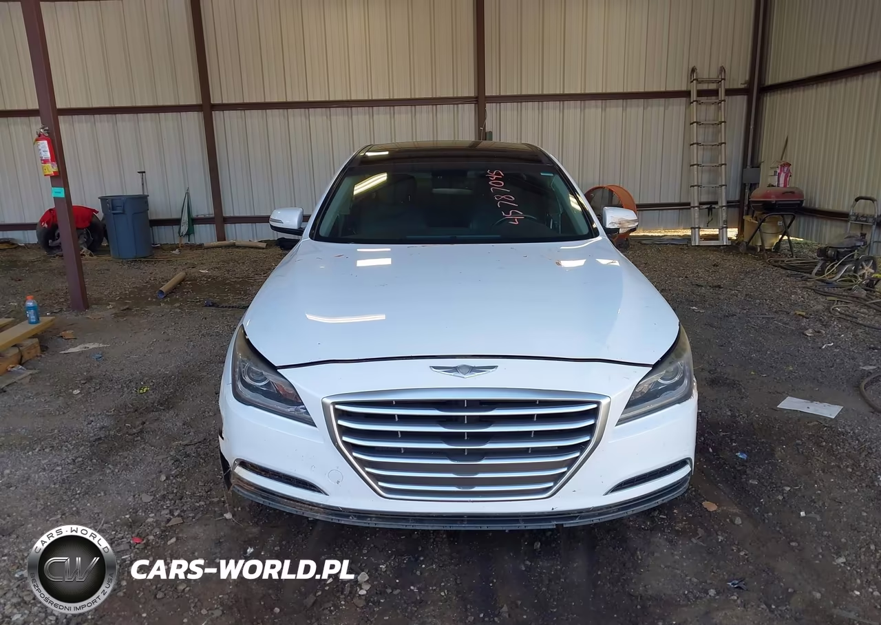 2015 Hyundai Genesis 3.8 VIN:KMHGN4JE9FU101391 - 12