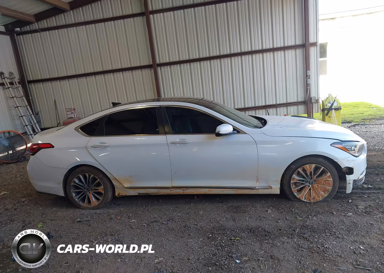 2015 Hyundai Genesis 3.8 VIN:KMHGN4JE9FU101391 - 13