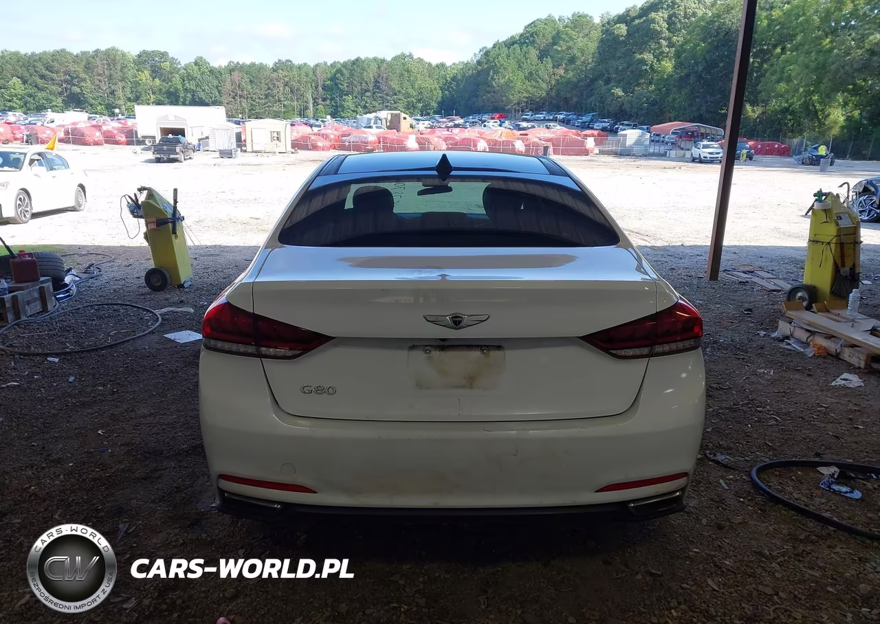 2015 Hyundai Genesis 3.8 VIN:KMHGN4JE9FU101391 - 16