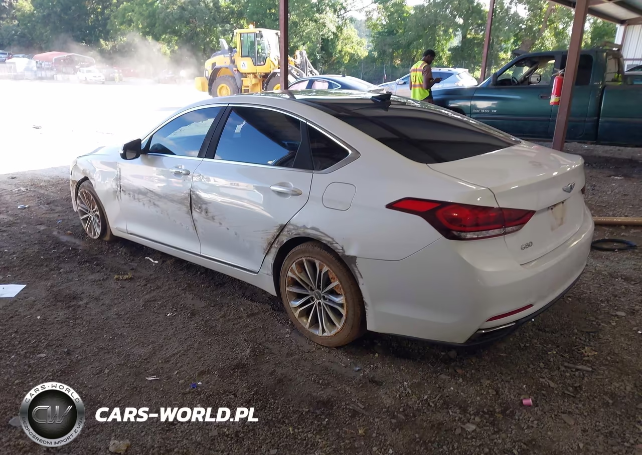 2015 Hyundai Genesis 3.8 VIN:KMHGN4JE9FU101391 - 3