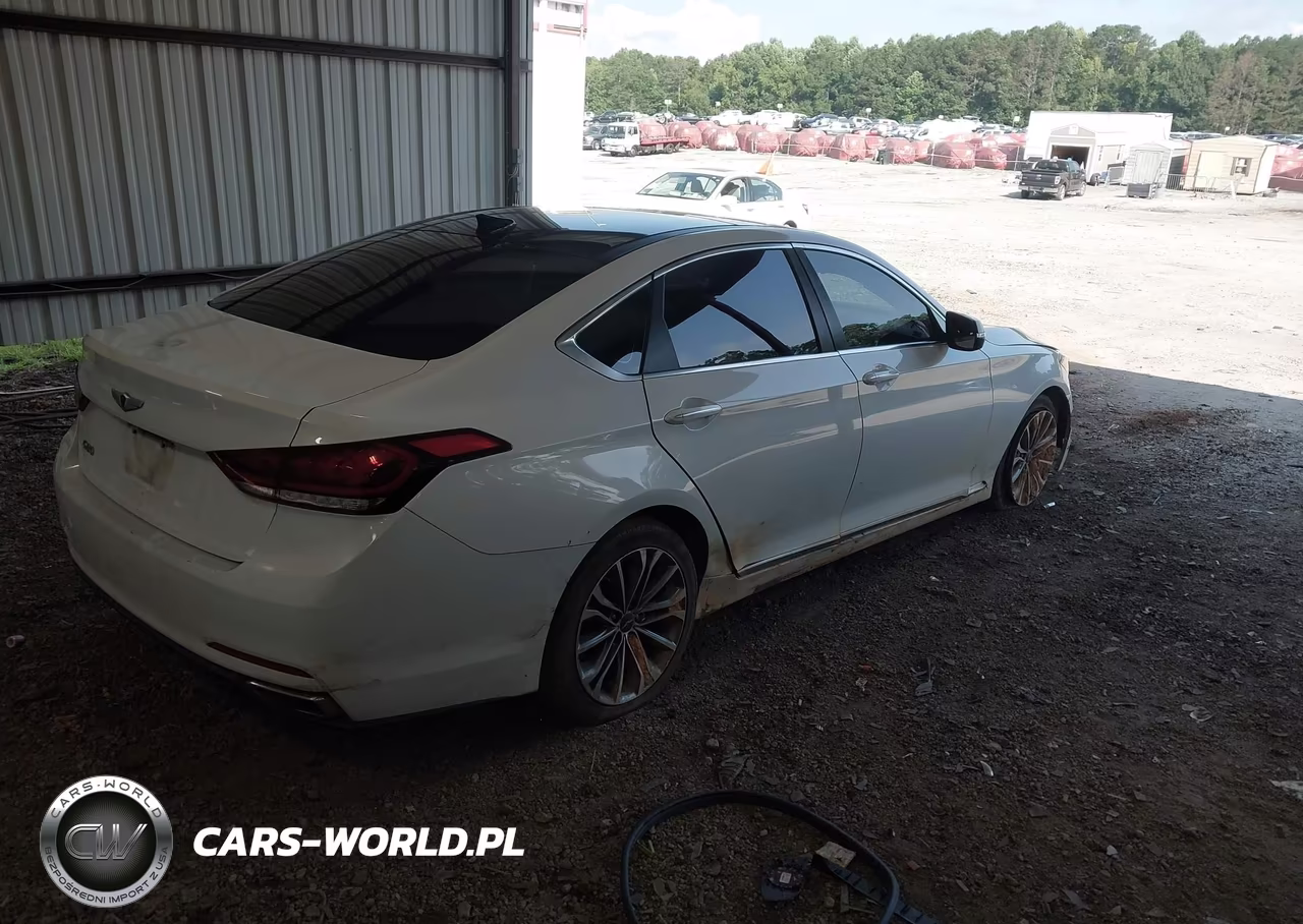 2015 Hyundai Genesis 3.8 VIN:KMHGN4JE9FU101391 - 4