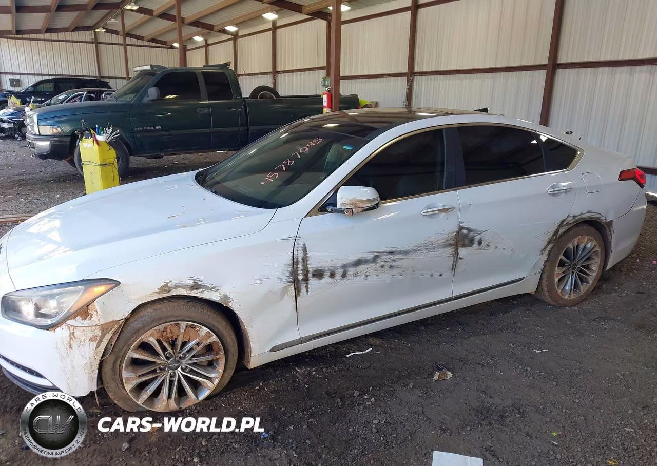 2015 Hyundai Genesis 3.8 VIN:KMHGN4JE9FU101391 - 6