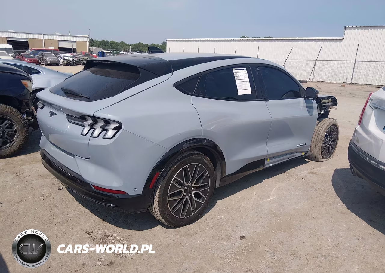 2024 Ford Mustang Mach-E Premium VIN:3FMTK3R76RMA34717 - 14