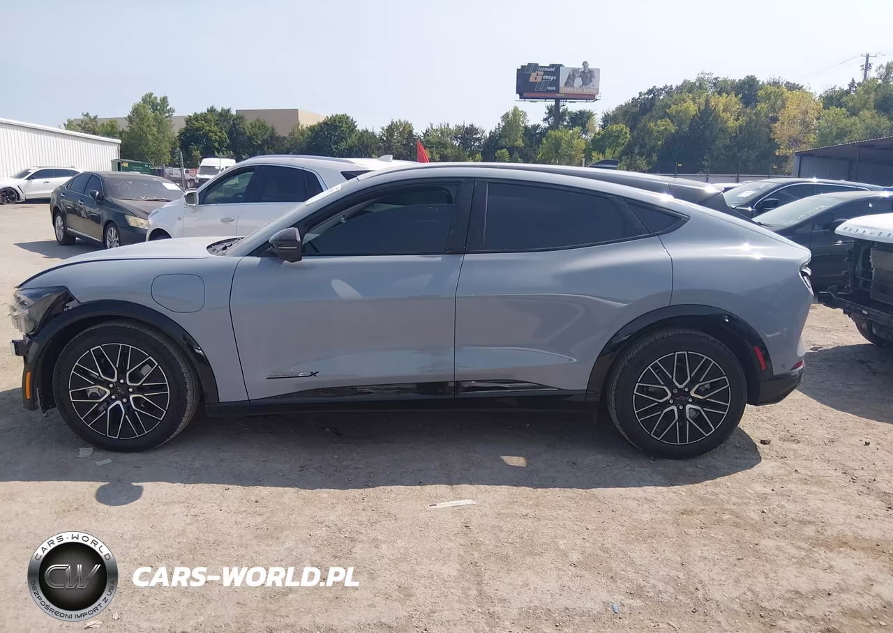 2024 Ford Mustang Mach-E Premium VIN:3FMTK3R76RMA34717 - 15