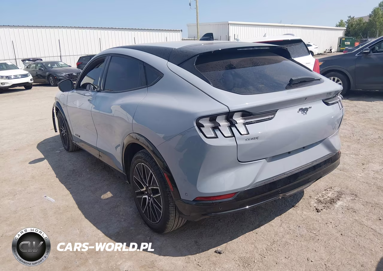 2024 Ford Mustang Mach-E Premium VIN:3FMTK3R76RMA34717 - 3