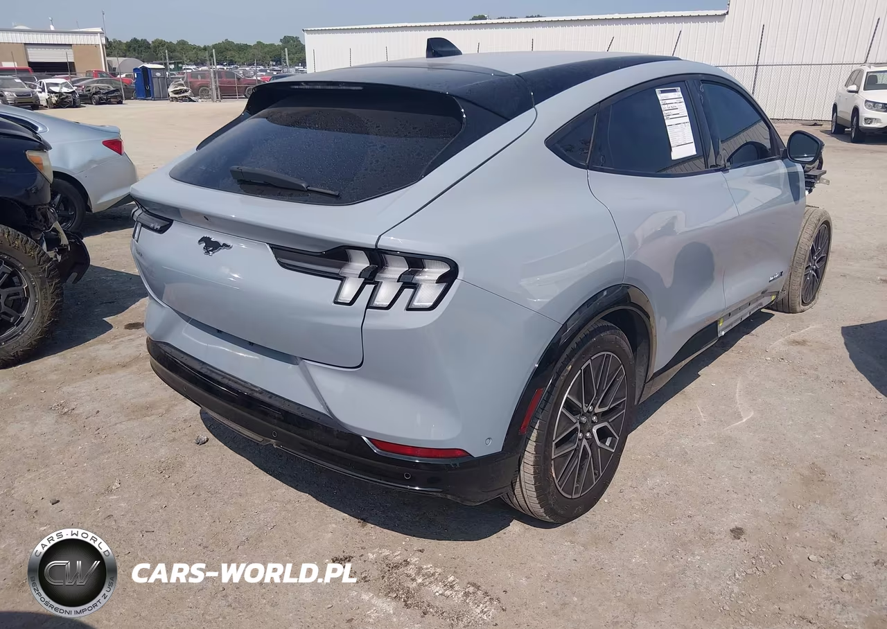 2024 Ford Mustang Mach-E Premium VIN:3FMTK3R76RMA34717 - 4