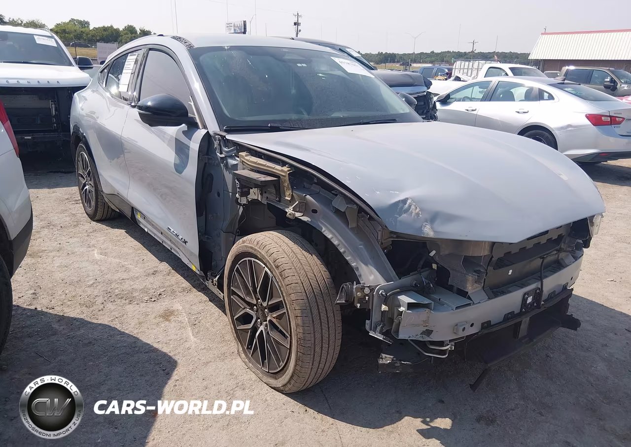 2024 Ford Mustang Mach-E Premium VIN:3FMTK3R76RMA34717 - 6