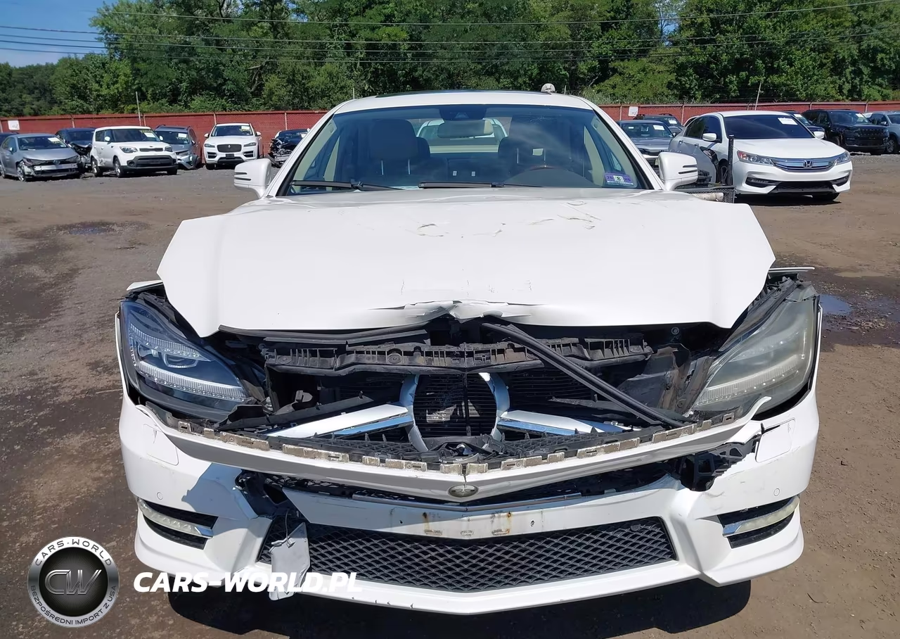 2013 Mercedes-Benz Cls 550 4Matic VIN:WDDLJ9BB4DA064576 - 12