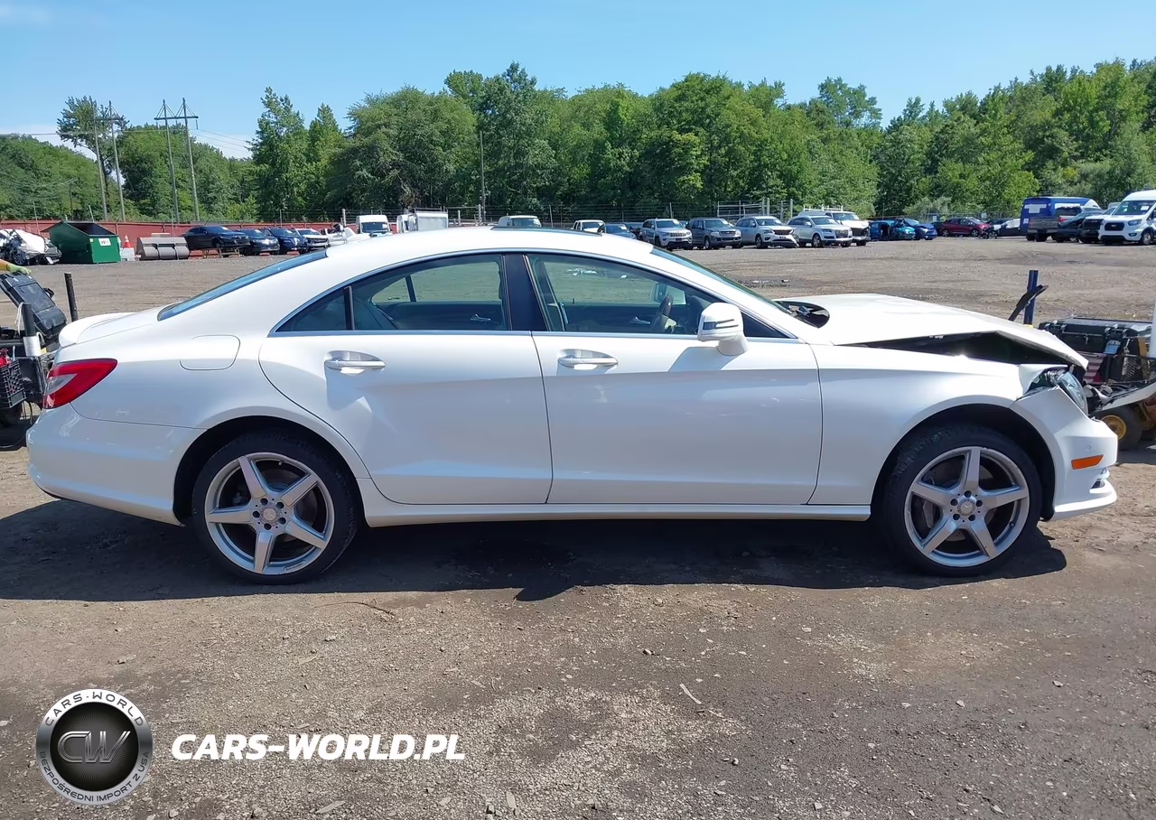 2013 Mercedes-Benz Cls 550 4Matic VIN:WDDLJ9BB4DA064576 - 13