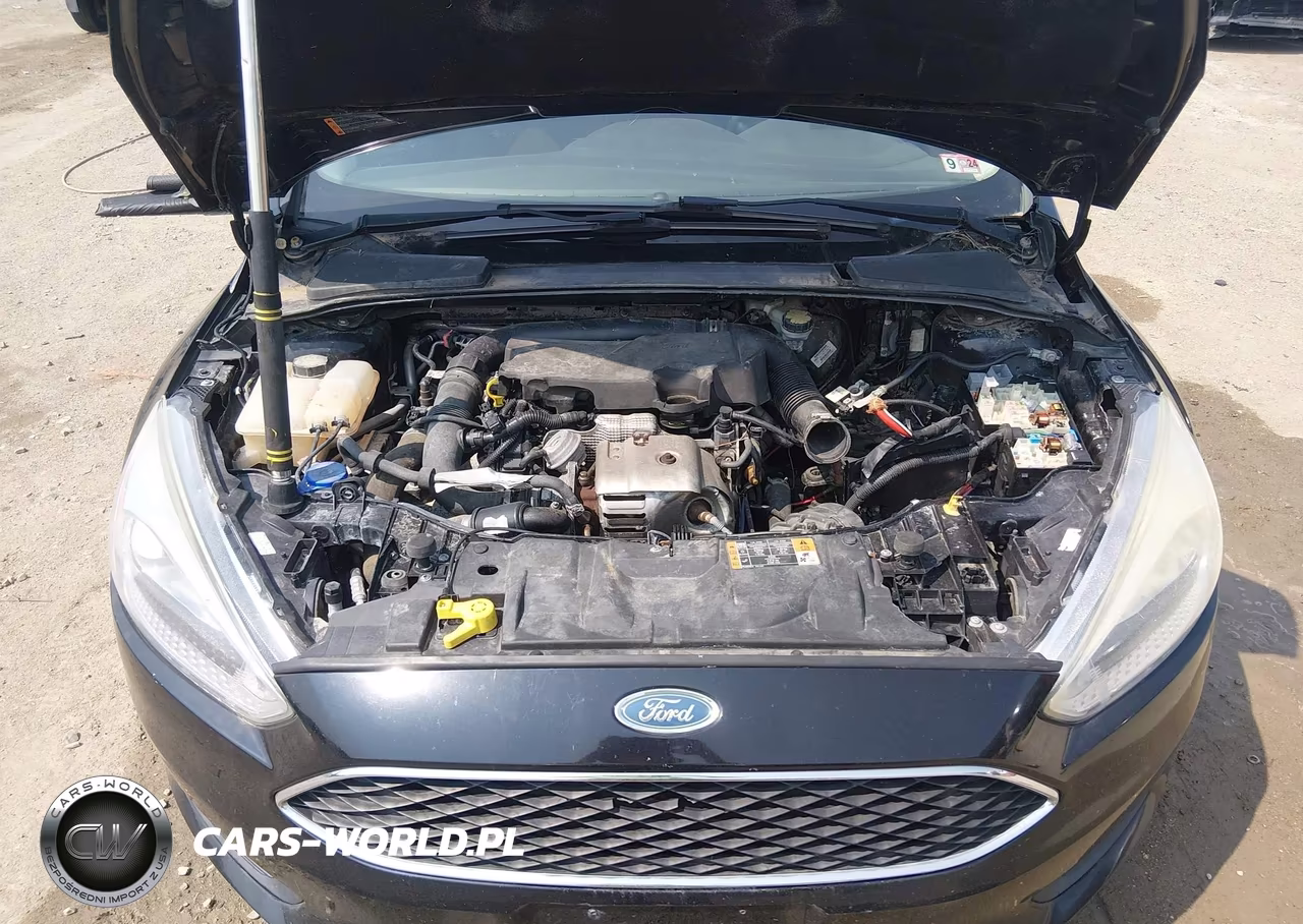 2016 Ford Focus Se VIN:1FADP3KE3GL211070 - 10