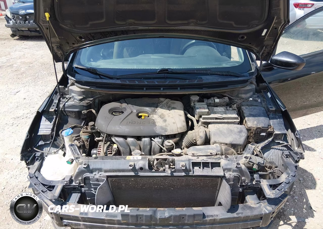 2015 Kia Forte Lx VIN:KNAFK4A69F5428723 - 10