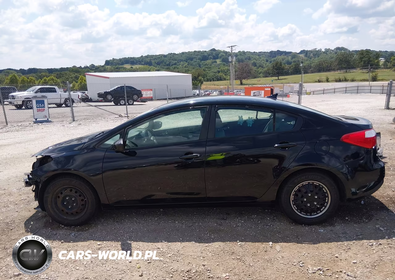2015 Kia Forte Lx VIN:KNAFK4A69F5428723 - 15