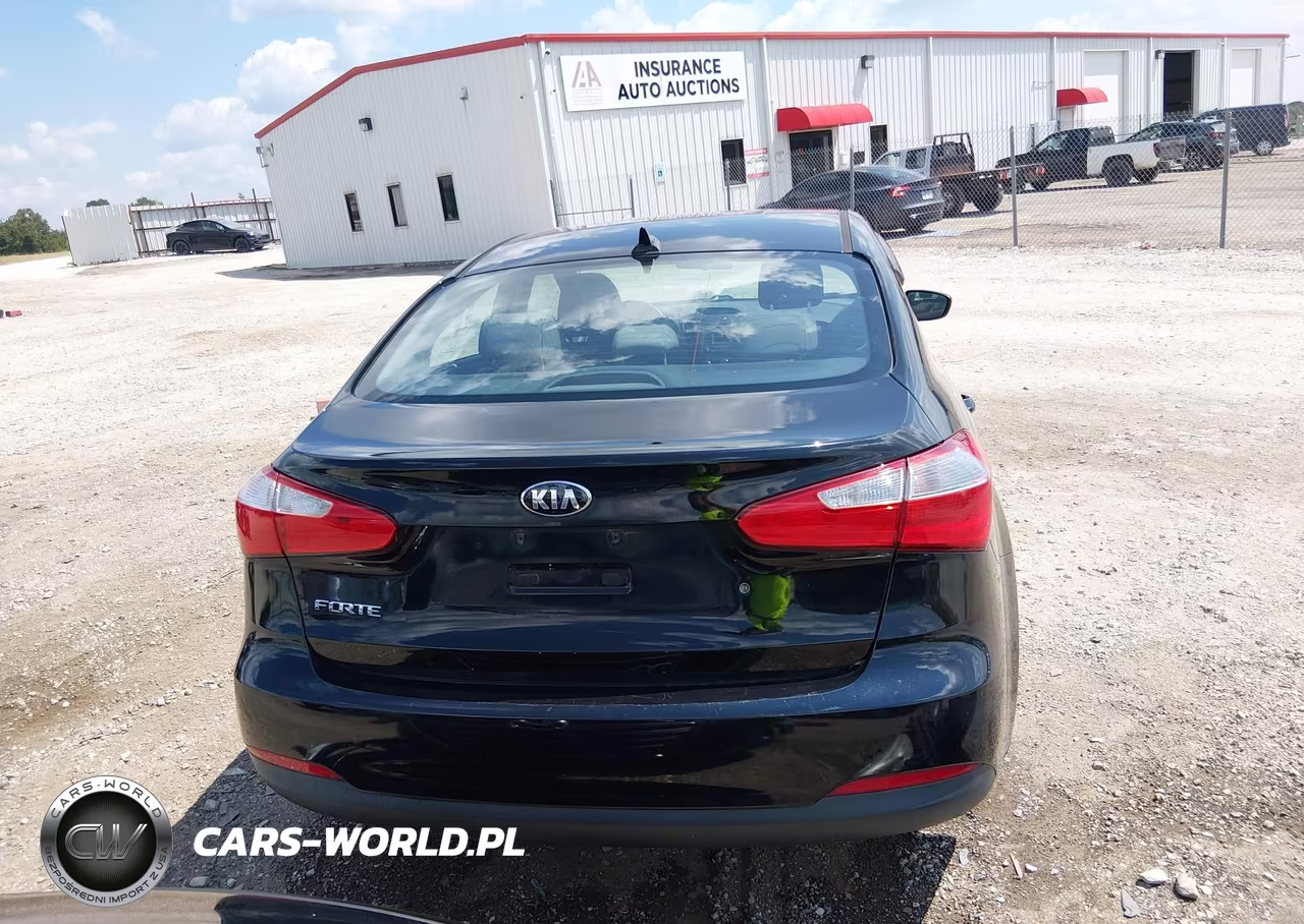 2015 Kia Forte Lx VIN:KNAFK4A69F5428723 - 17