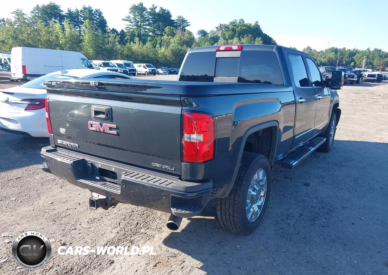 2017 GMC Sierra 2500Hd Denali VIN:1GT12UEG0HF155412 - 4