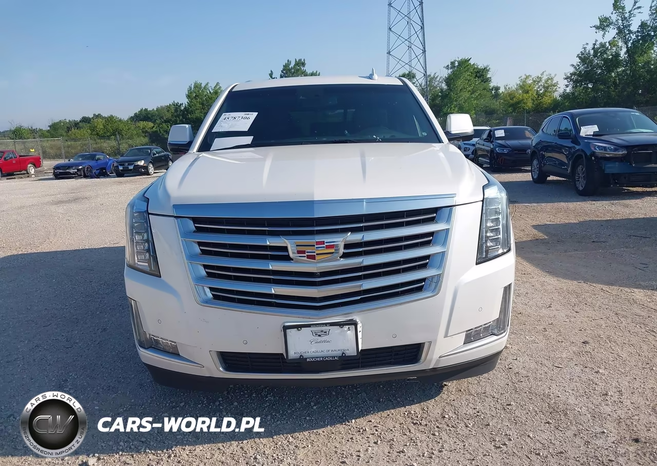 2016 Cadillac Escalade Platinum VIN:1GYS4DKJ3GR343492 - 12