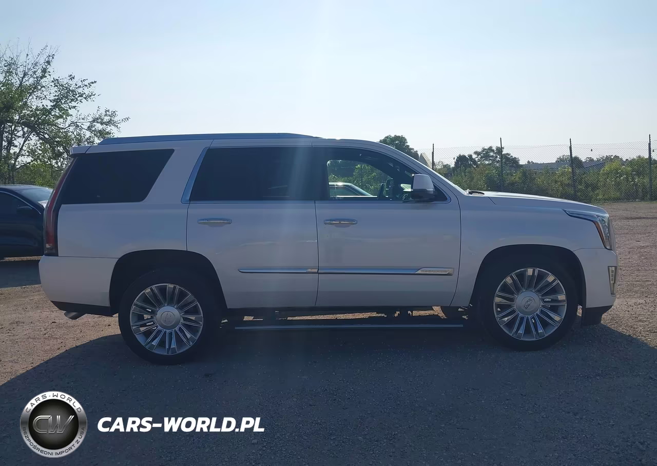 2016 Cadillac Escalade Platinum VIN:1GYS4DKJ3GR343492 - 13