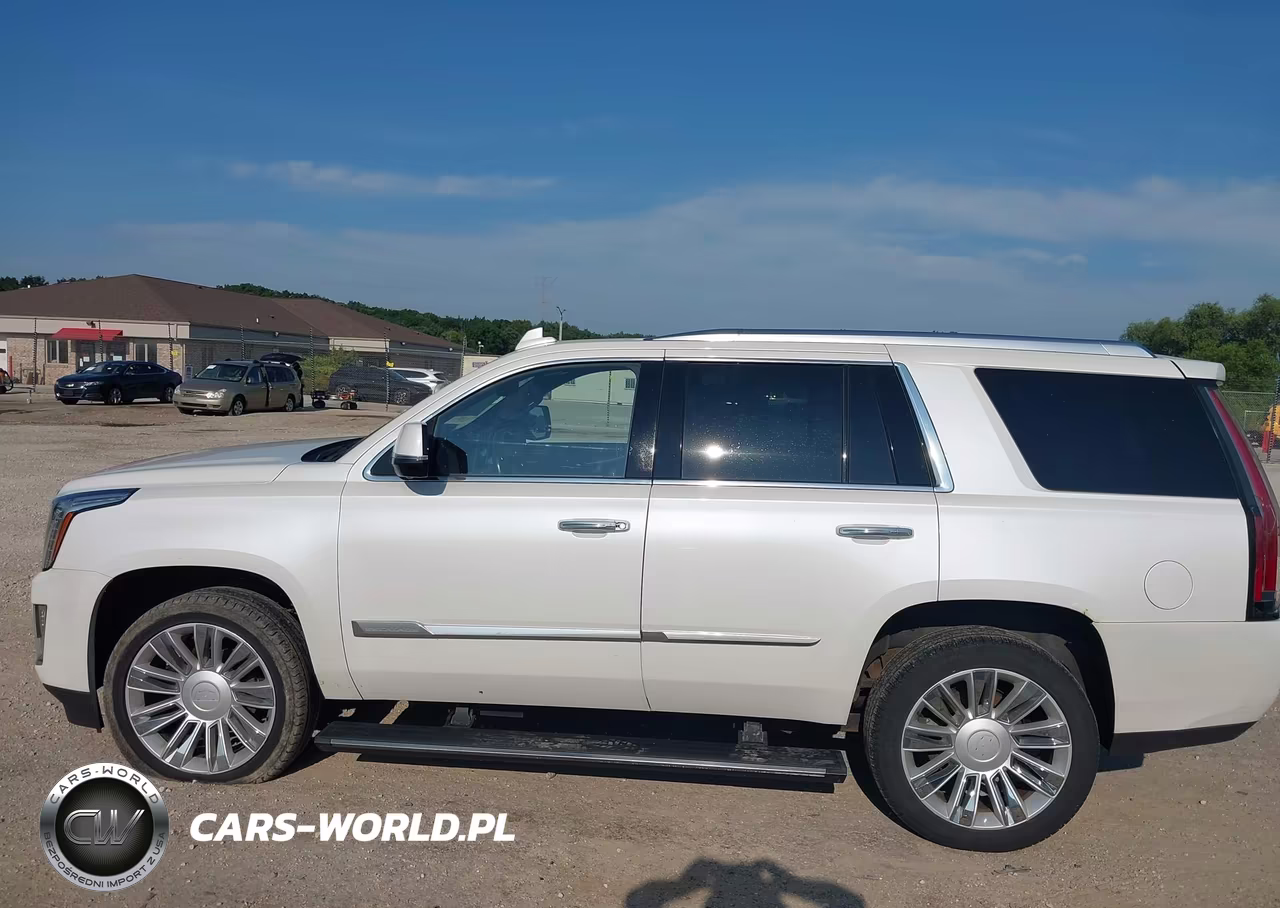 2016 Cadillac Escalade Platinum VIN:1GYS4DKJ3GR343492 - 14