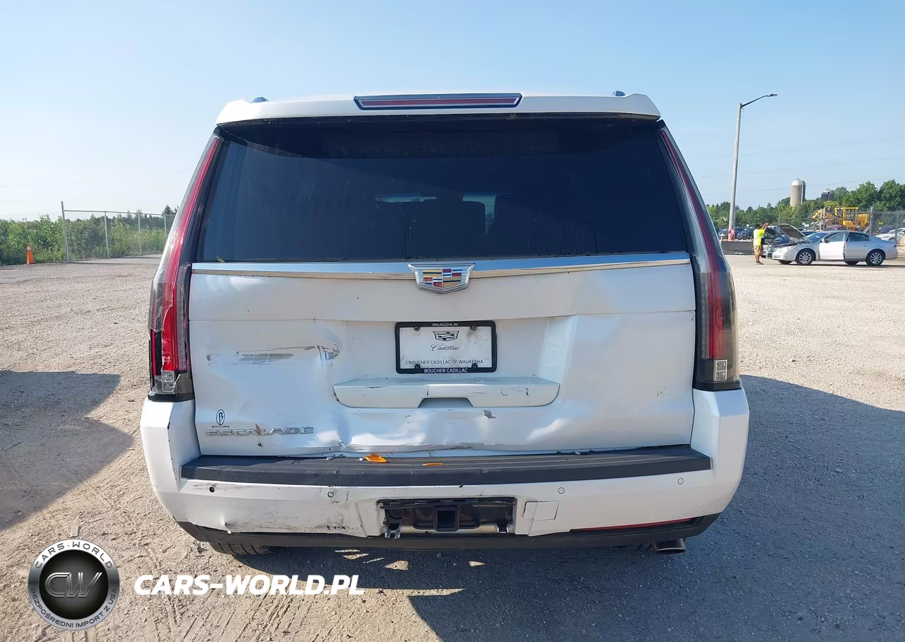 2016 Cadillac Escalade Platinum VIN:1GYS4DKJ3GR343492 - 16