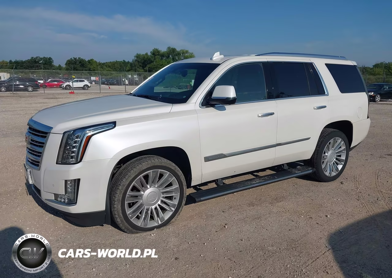 2016 Cadillac Escalade Platinum VIN:1GYS4DKJ3GR343492 - 2