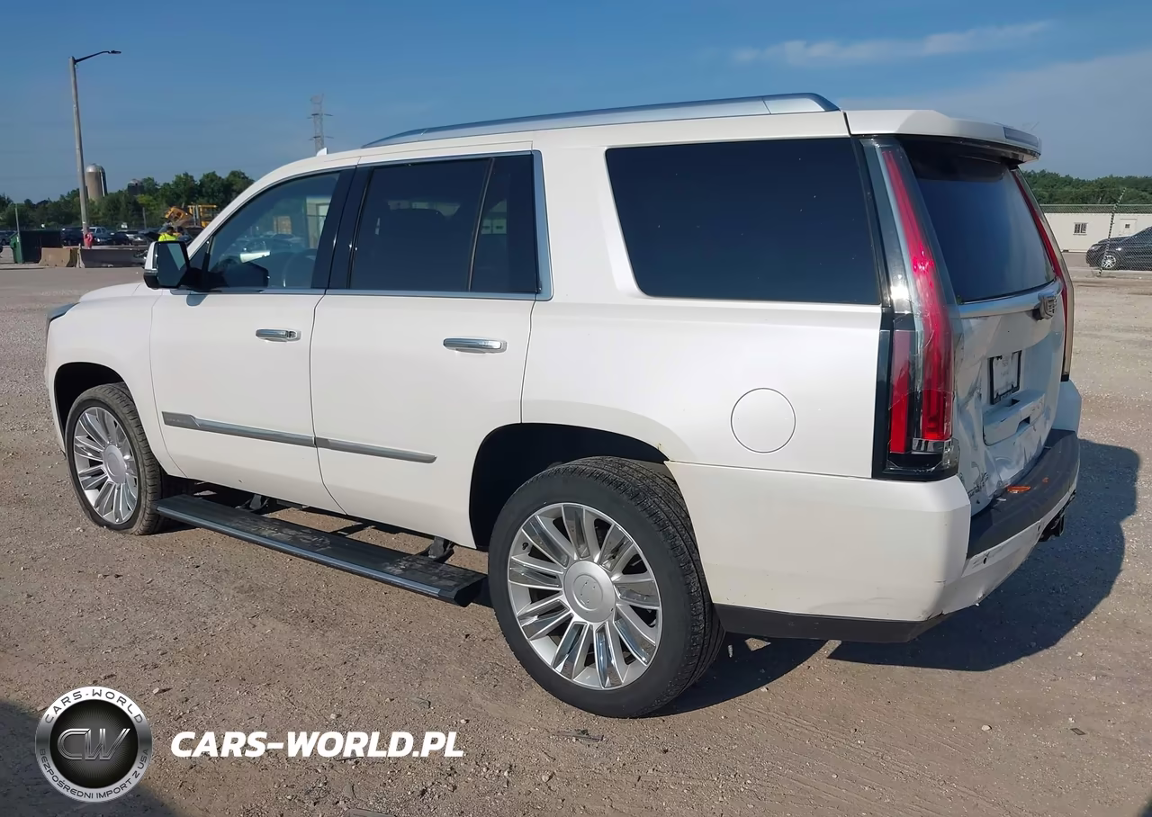 2016 Cadillac Escalade Platinum VIN:1GYS4DKJ3GR343492 - 3