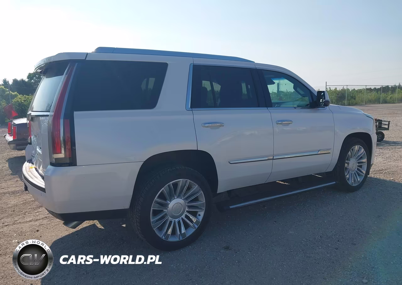 2016 Cadillac Escalade Platinum VIN:1GYS4DKJ3GR343492 - 4