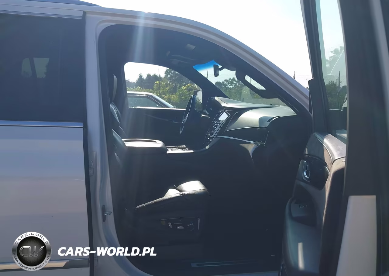 2016 Cadillac Escalade Platinum VIN:1GYS4DKJ3GR343492 - 5