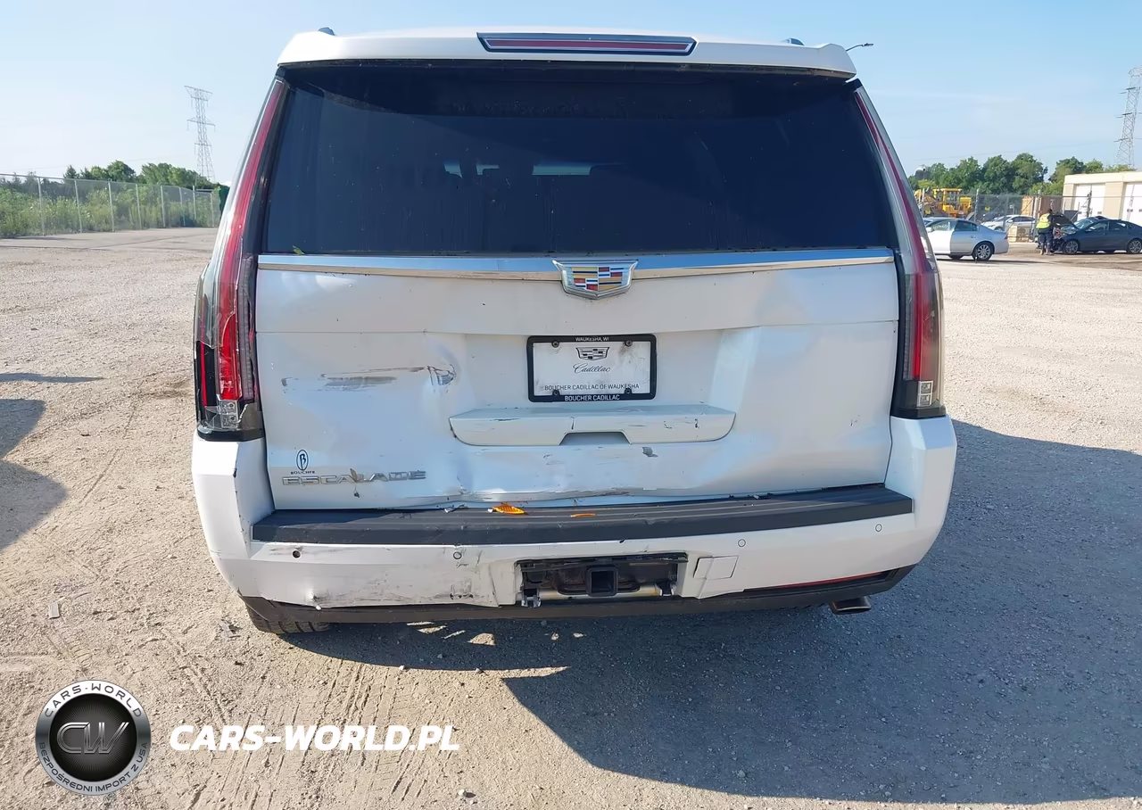2016 Cadillac Escalade Platinum VIN:1GYS4DKJ3GR343492 - 6