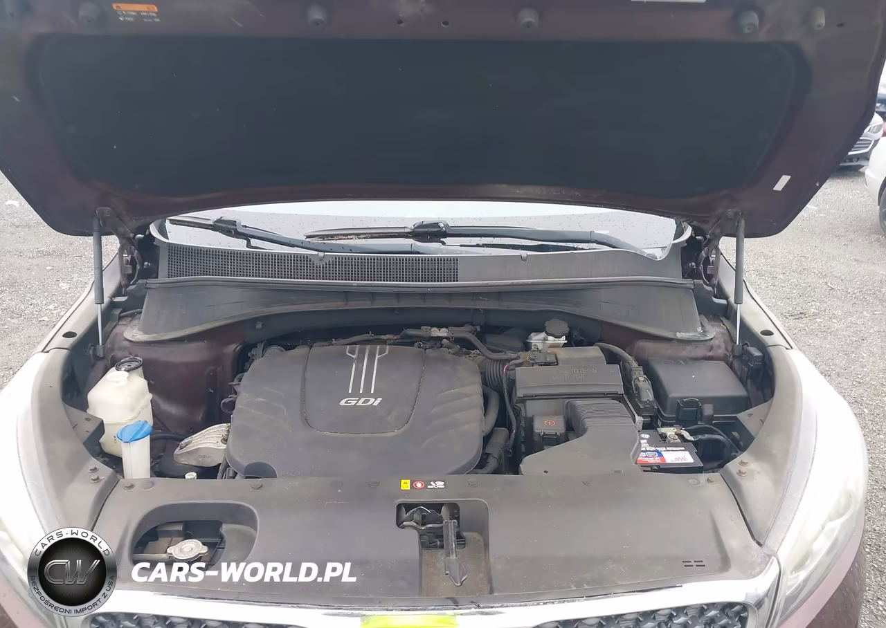 2016 Kia Sorento 3.3L Lx VIN:5XYPGDA51GG173901 - 10