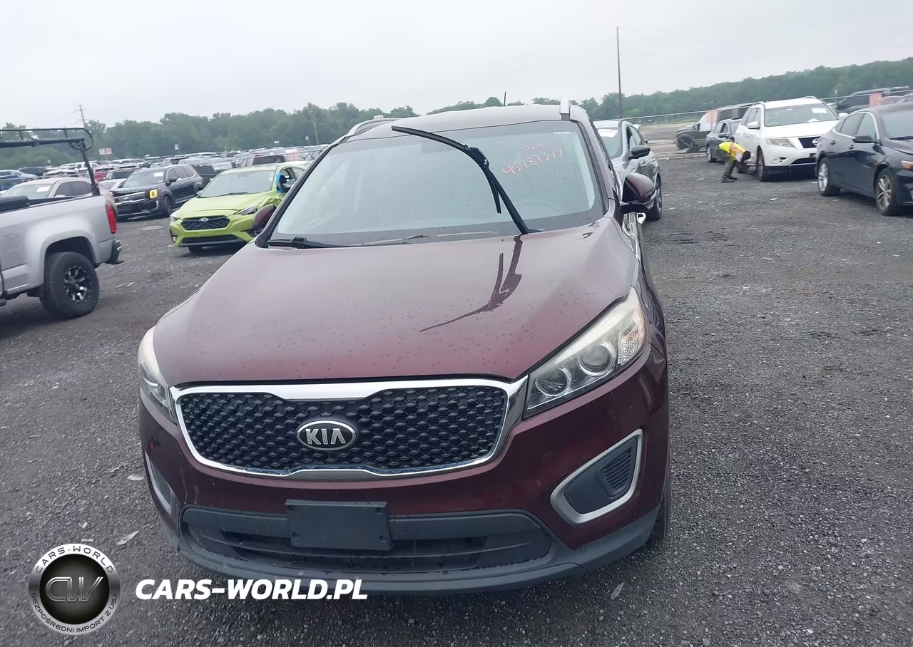 2016 Kia Sorento 3.3L Lx VIN:5XYPGDA51GG173901 - 12