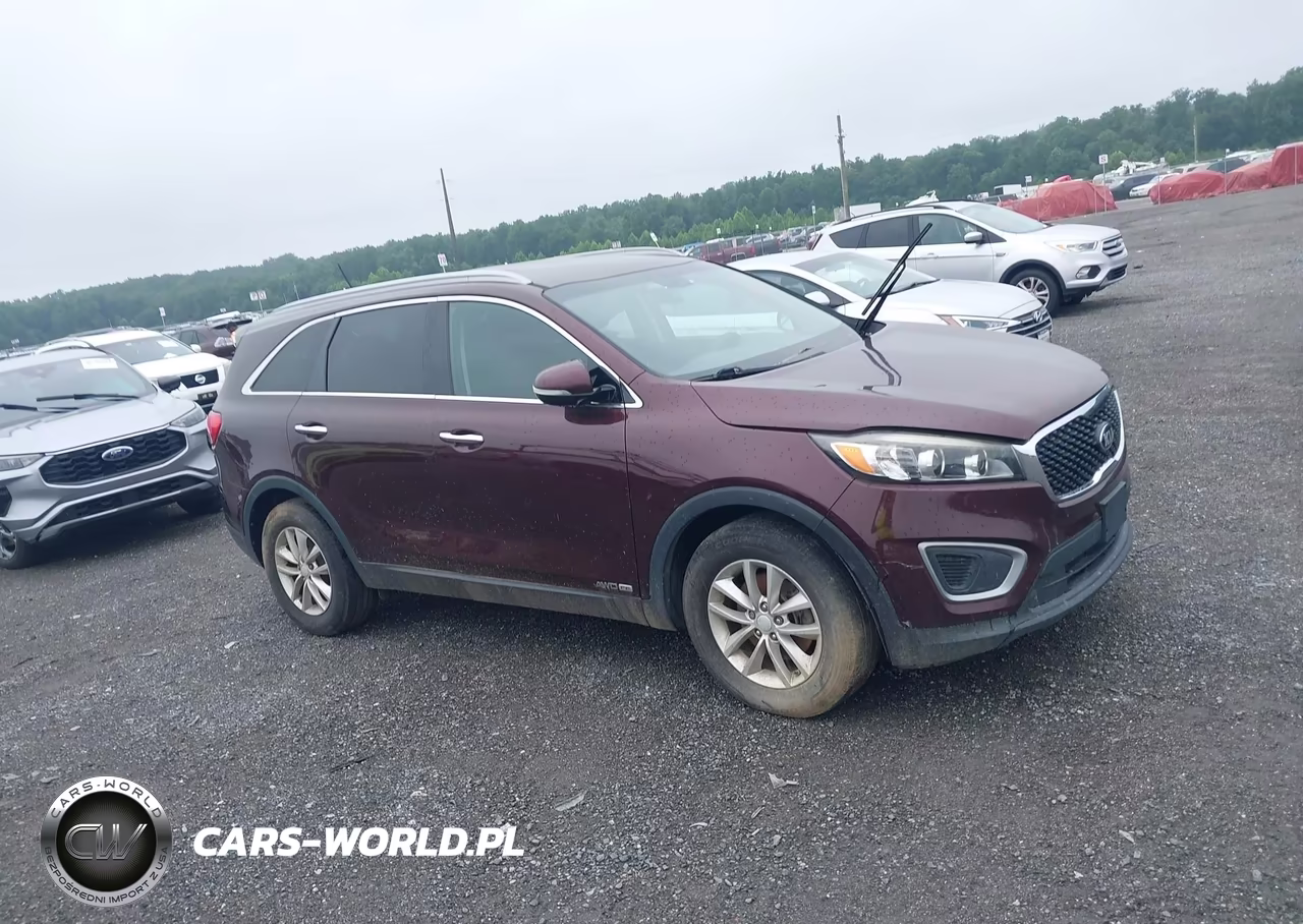 2016 Kia Sorento 3.3L Lx VIN:5XYPGDA51GG173901 - 13
