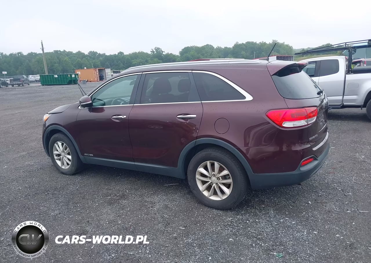 2016 Kia Sorento 3.3L Lx VIN:5XYPGDA51GG173901 - 14