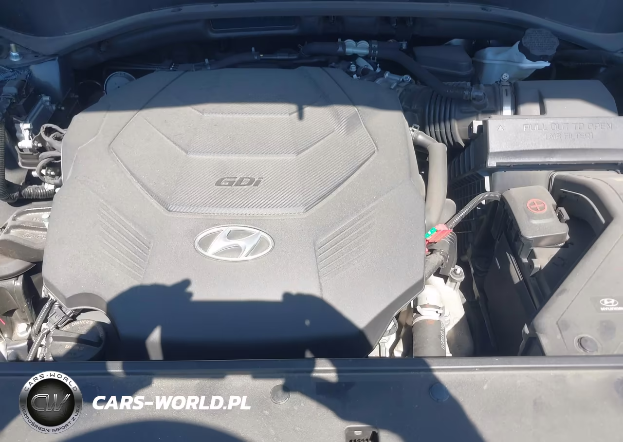 2024 Hyundai Palisade Calligraphy VIN:KM8R74GE3RU769024 - 10