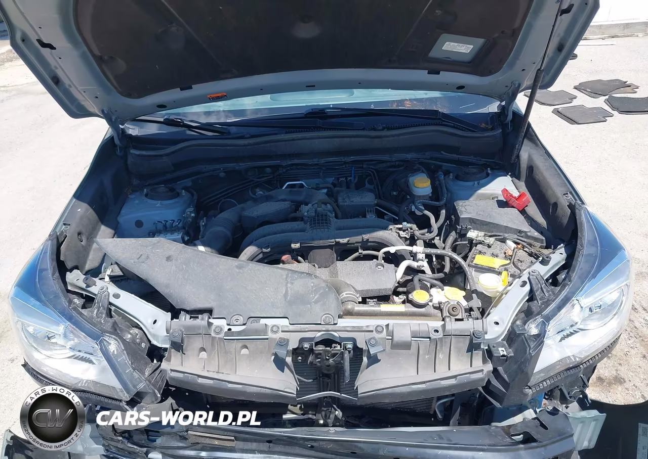 2018 Subaru Forester 2.5I Premium VIN:JF2SJAEC6JH529620 - 10