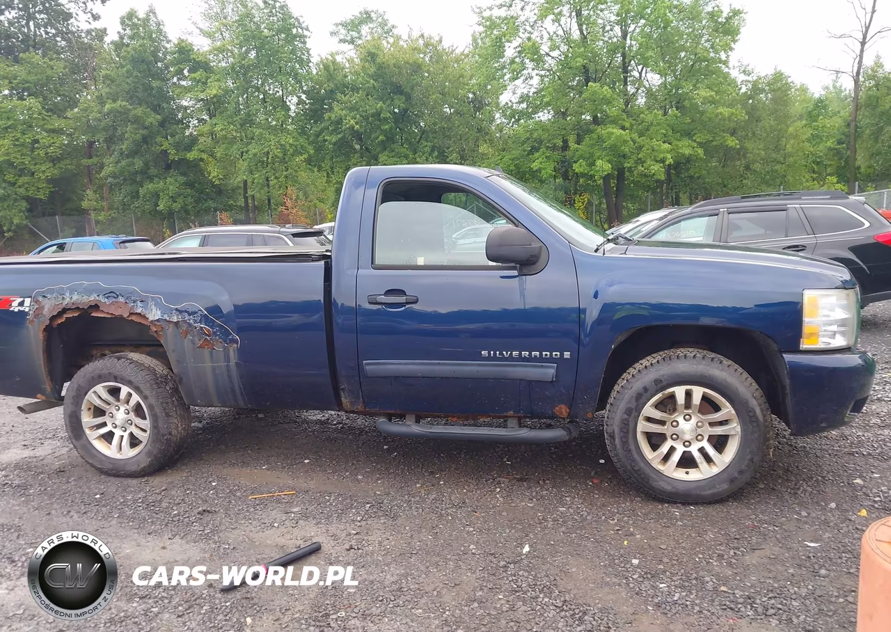 2009 Chevrolet Silverado 1500 Lt VIN:1GCEK24J39Z189511 - 13