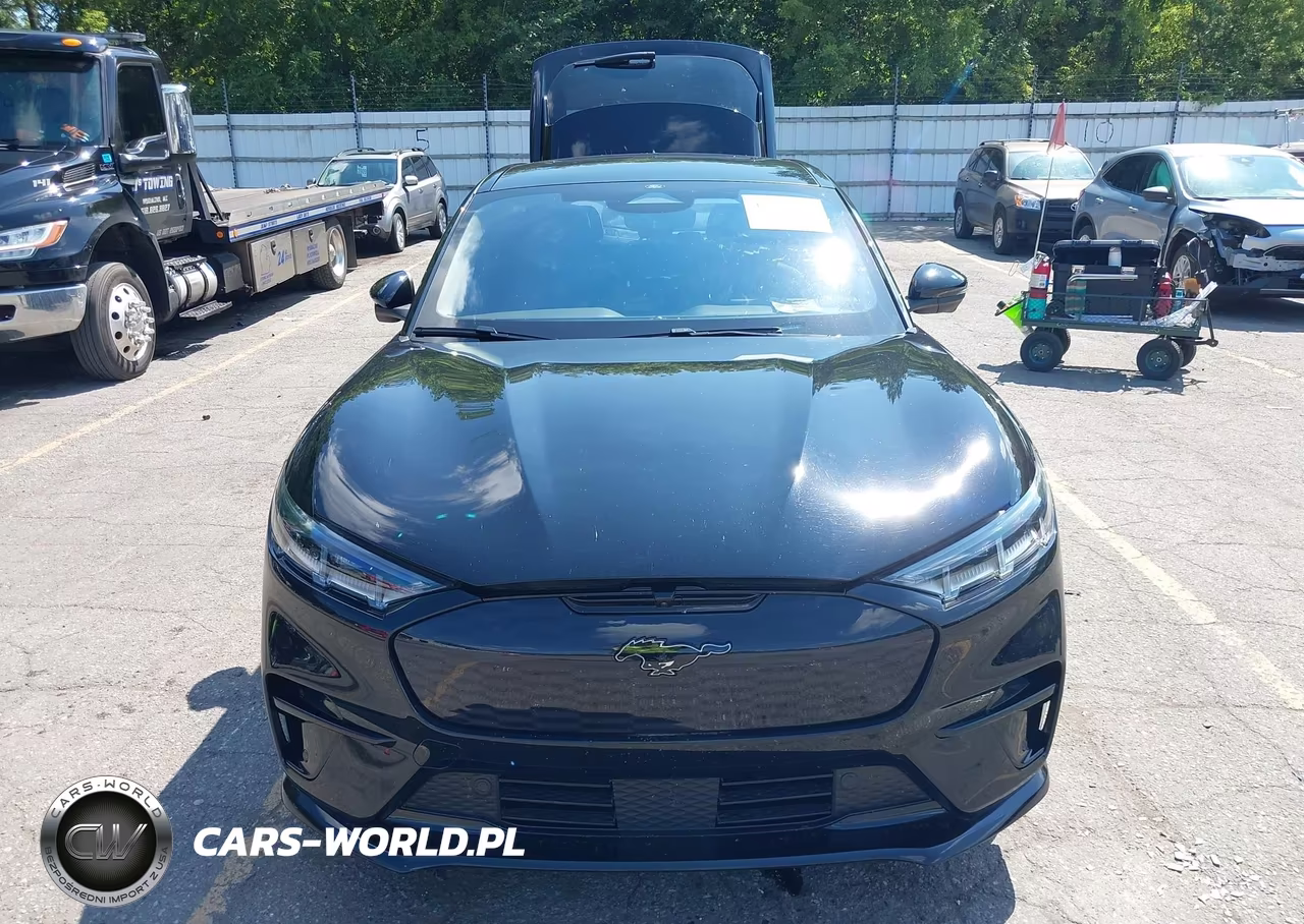 2023 Ford Mustang Mach-E Gt VIN:3FMTK4SX2PMA90876 - 12