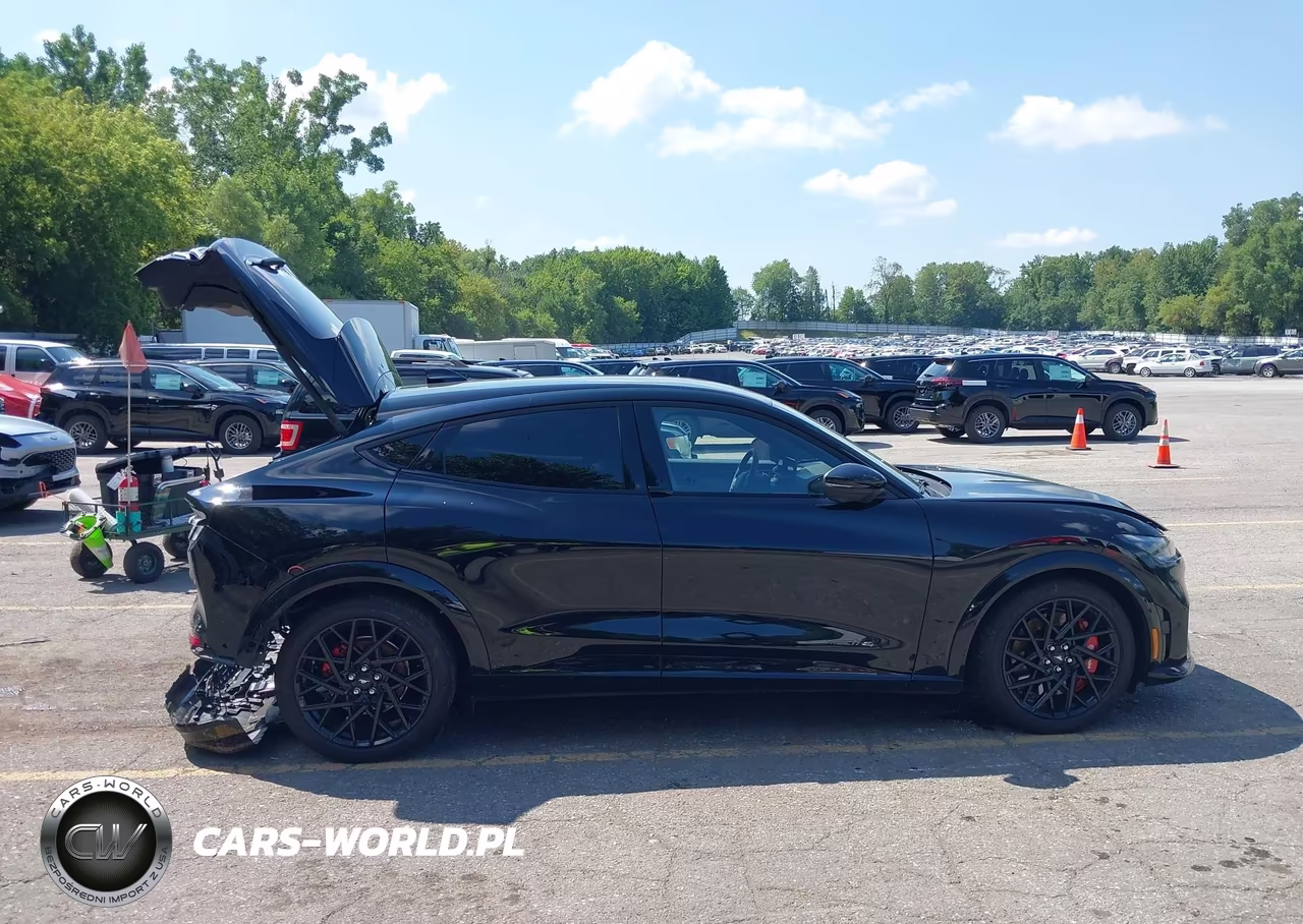 2023 Ford Mustang Mach-E Gt VIN:3FMTK4SX2PMA90876 - 13